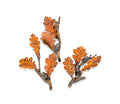 Oak Detail Embellishment